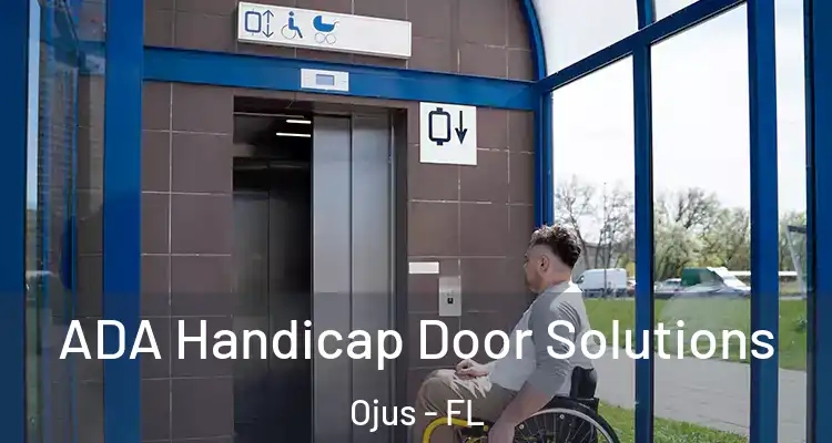  ADA Handicap Door Solutions Ojus - FL