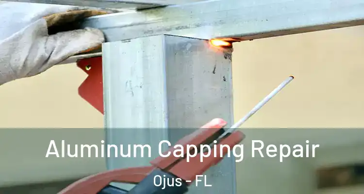  Aluminum Capping Repair Ojus - FL