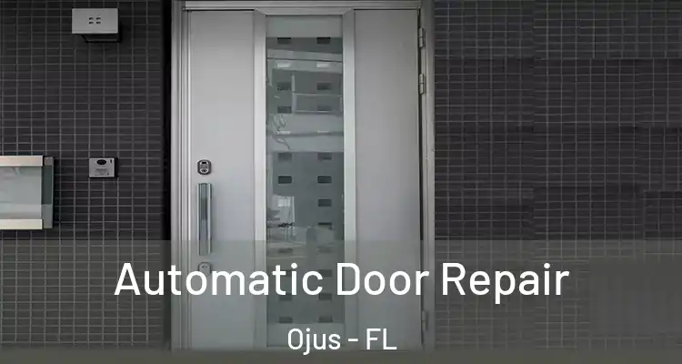  Automatic Door Repair Ojus - FL