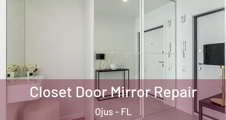  Closet Door Mirror Repair Ojus - FL