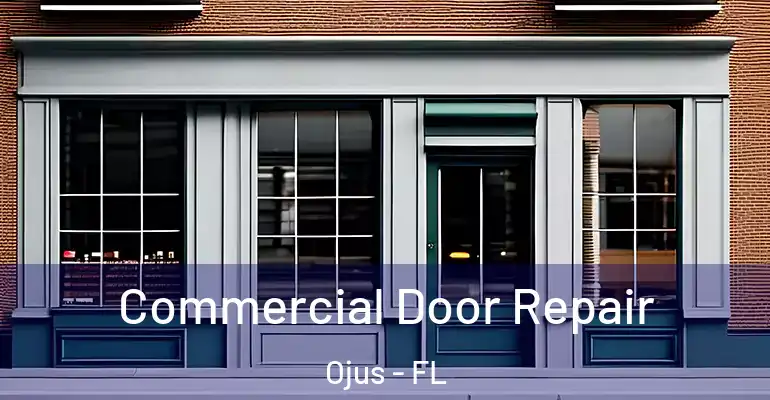  Commercial Door Repair Ojus - FL