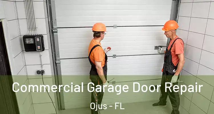  Commercial Garage Door Repair Ojus - FL