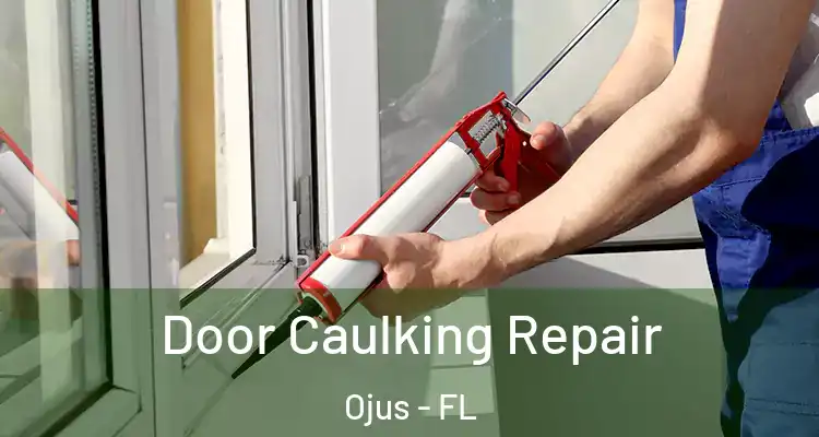  Door Caulking Repair Ojus - FL
