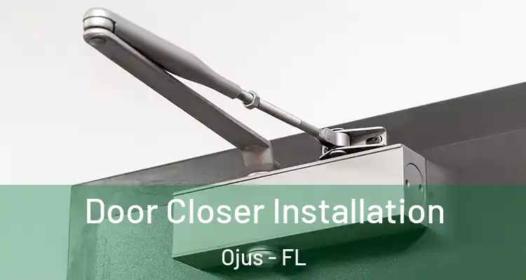  Door Closer Installation Ojus - FL