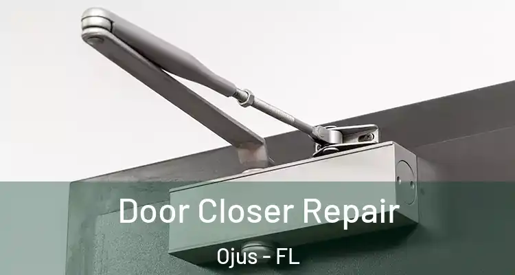  Door Closer Repair Ojus - FL