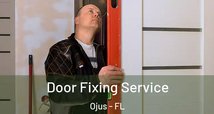  Door Fixing Service Ojus - FL