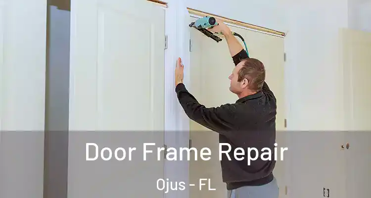  Door Frame Repair Ojus - FL