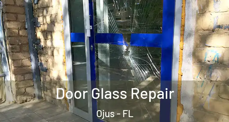  Door Glass Repair Ojus - FL