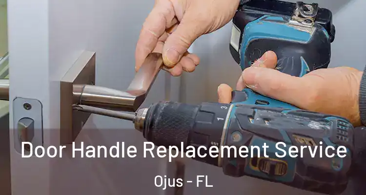  Door Handle Replacement Service Ojus - FL