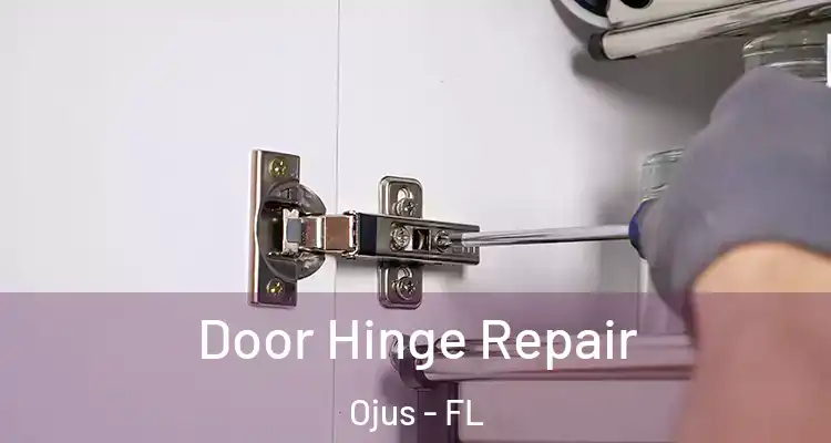  Door Hinge Repair Ojus - FL