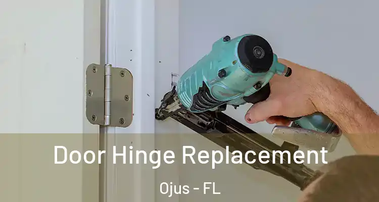  Door Hinge Replacement Ojus - FL