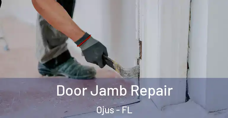  Door Jamb Repair Ojus - FL