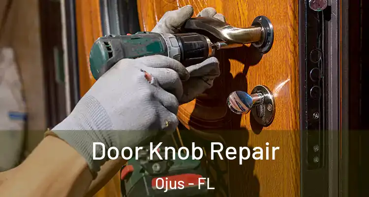 Door Knob Repair Ojus - FL