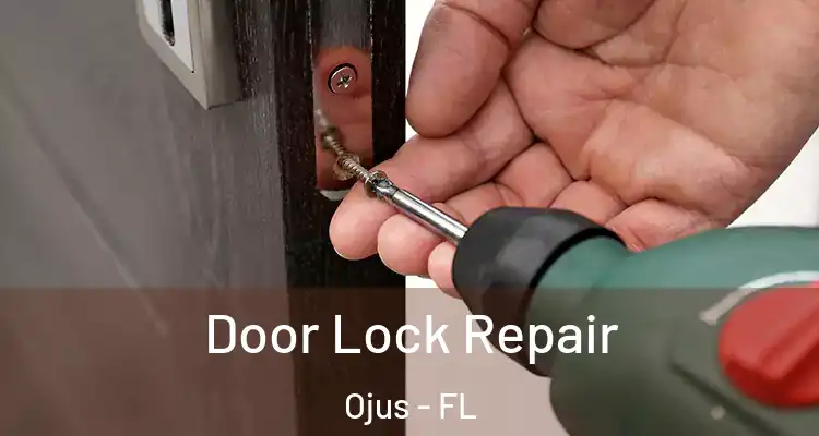  Door Lock Repair Ojus - FL