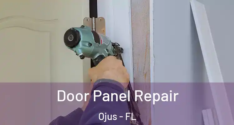  Door Panel Repair Ojus - FL