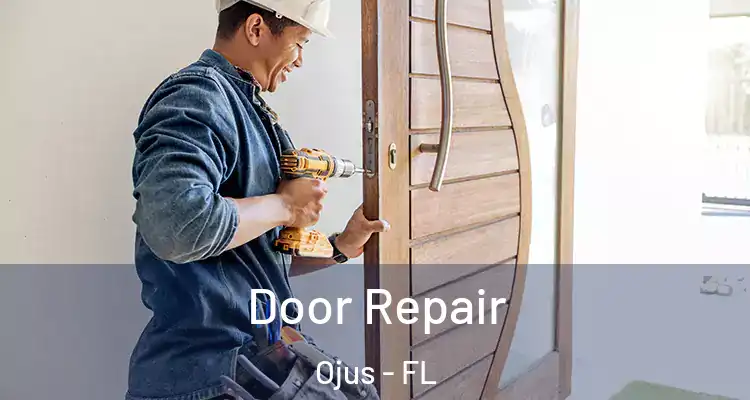  Door Repair Ojus - FL