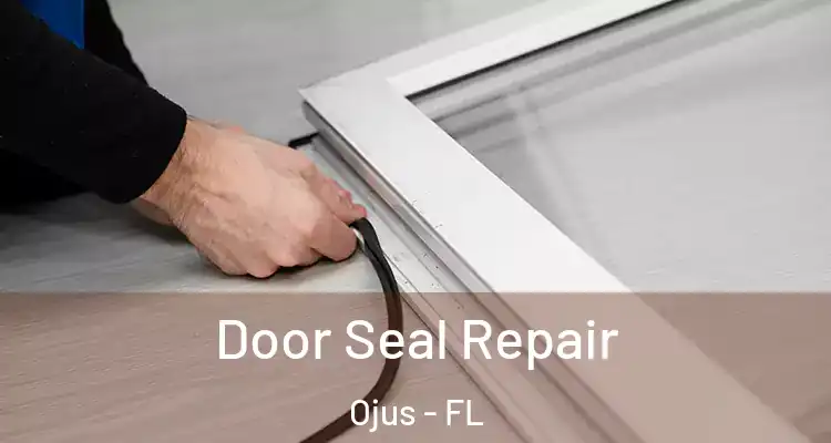  Door Seal Repair Ojus - FL