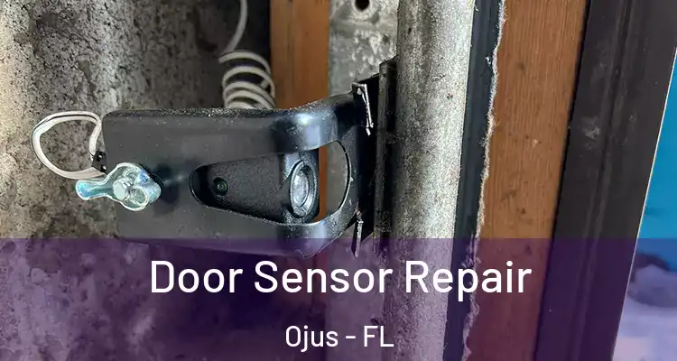  Door Sensor Repair Ojus - FL
