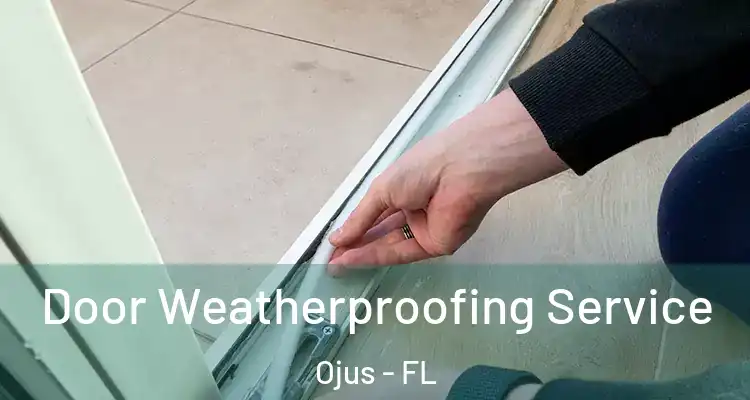  Door Weatherproofing Service Ojus - FL