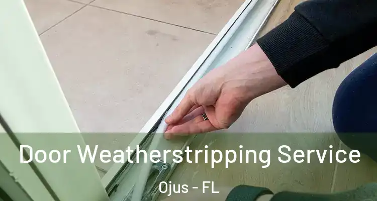  Door Weatherstripping Service Ojus - FL