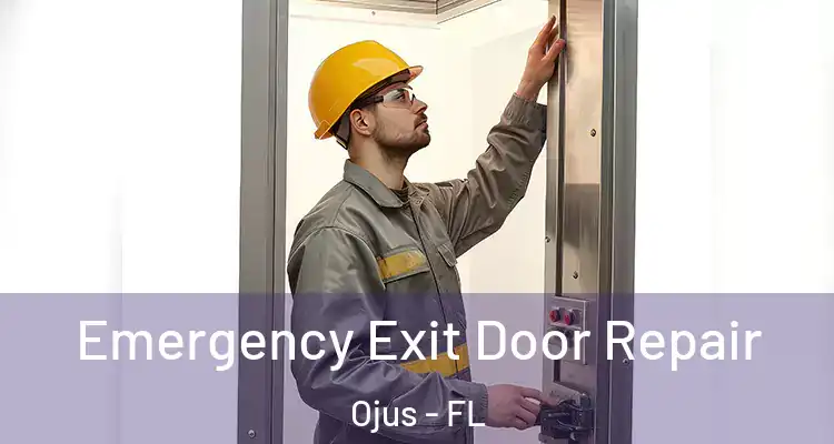  Emergency Exit Door Repair Ojus - FL