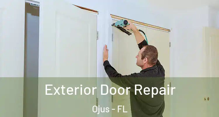 Exterior Door Repair Ojus - FL