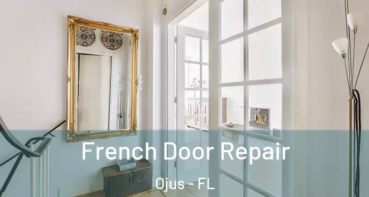 French Door Repair Ojus - FL