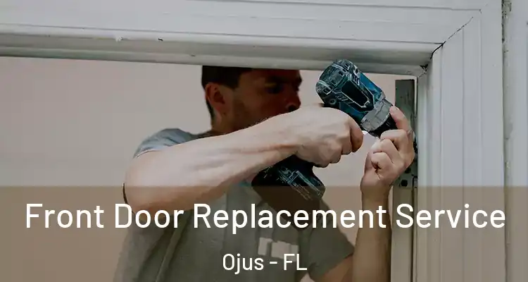  Front Door Replacement Service Ojus - FL