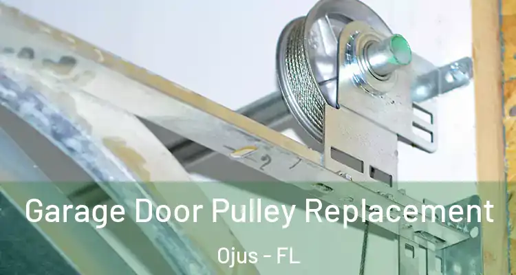  Garage Door Pulley Replacement Ojus - FL