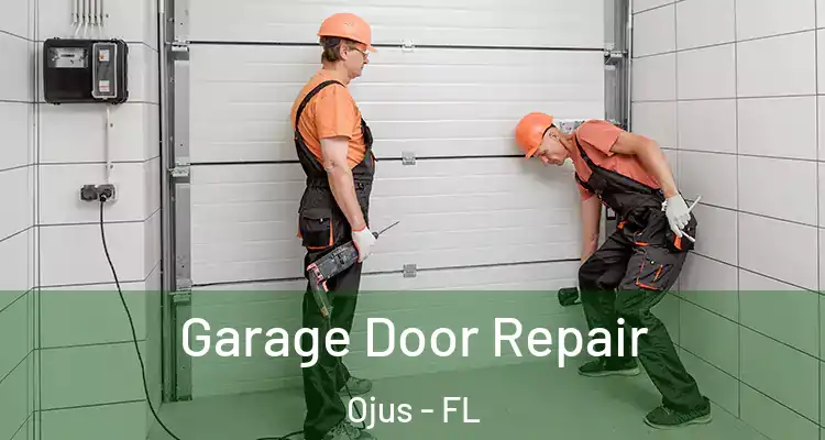  Garage Door Repair Ojus - FL