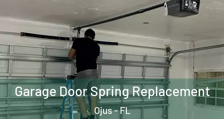  Garage Door Spring Replacement Ojus - FL