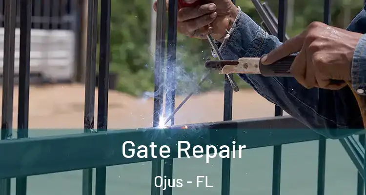  Gate Repair Ojus - FL