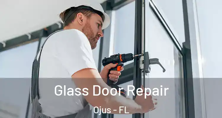  Glass Door Repair Ojus - FL