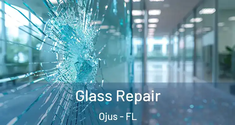  Glass Repair Ojus - FL