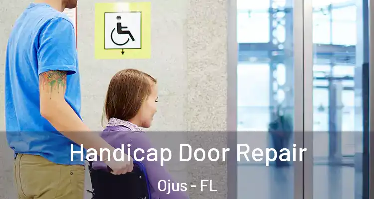  Handicap Door Repair Ojus - FL