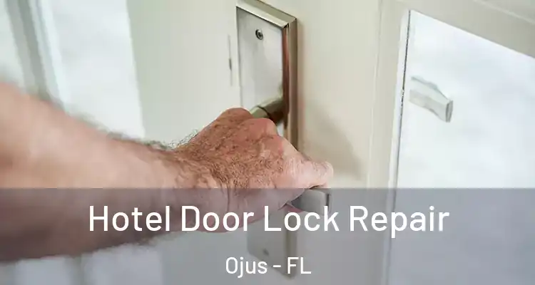  Hotel Door Lock Repair Ojus - FL
