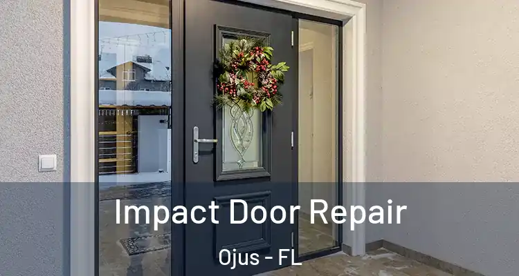  Impact Door Repair Ojus - FL