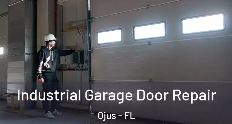  Industrial Garage Door Repair Ojus - FL