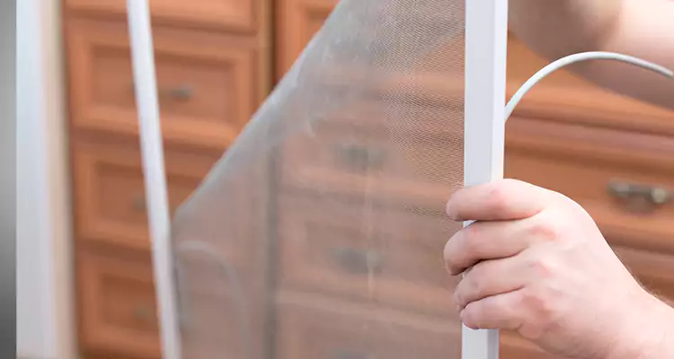Privacy Mesh Screen Door Installation in Ojus, FL