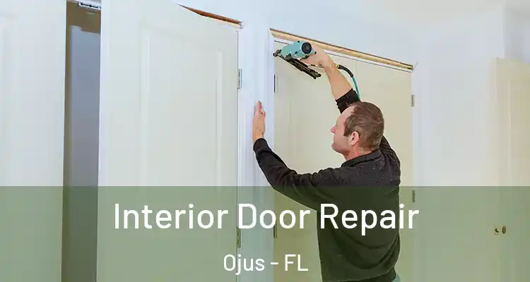  Interior Door Repair Ojus - FL