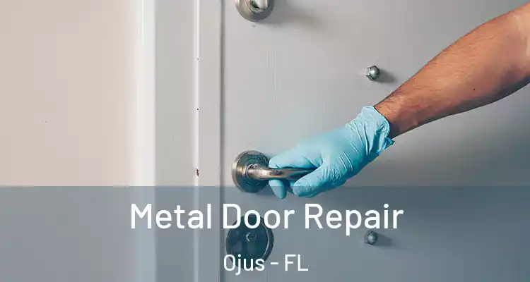  Metal Door Repair Ojus - FL