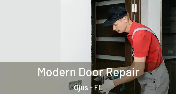  Modern Door Repair Ojus - FL