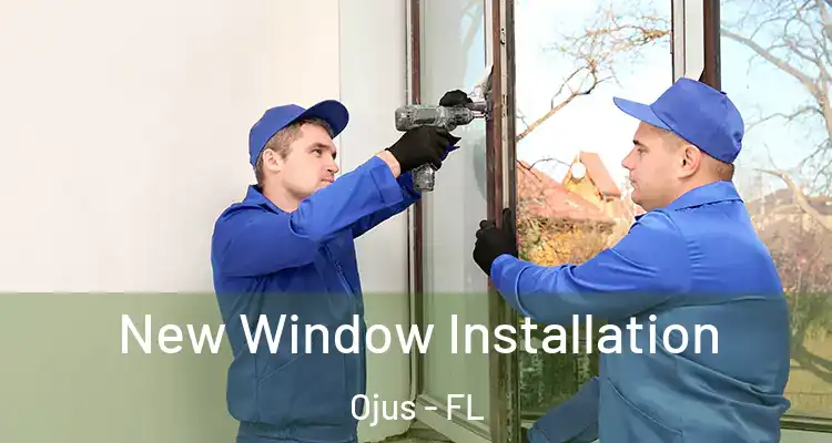 New Window Installation Ojus - FL