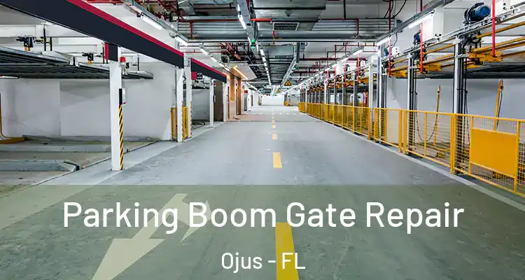  Parking Boom Gate Repair Ojus - FL