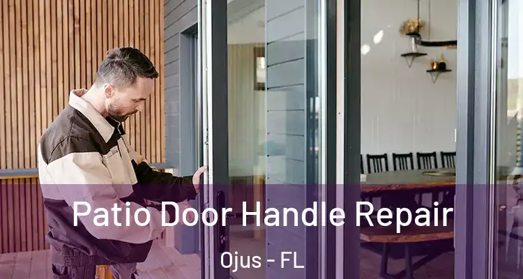  Patio Door Handle Repair Ojus - FL