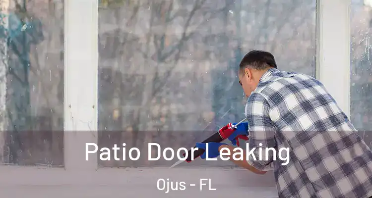 Patio Door Leaking Ojus - FL