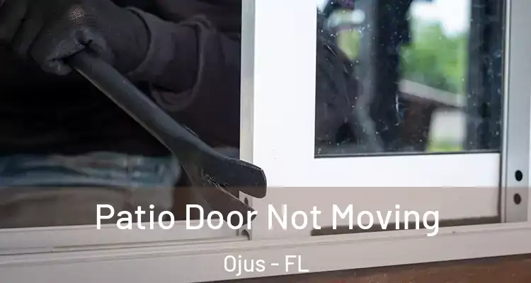 Patio Door Not Moving Ojus - FL