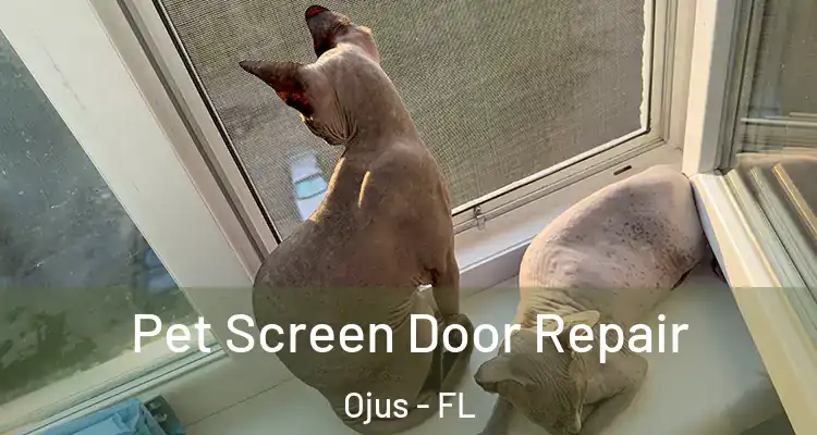  Pet Screen Door Repair Ojus - FL