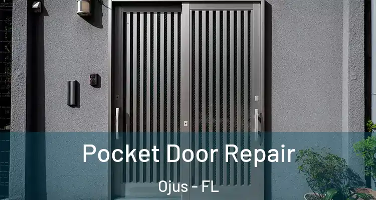  Pocket Door Repair Ojus - FL