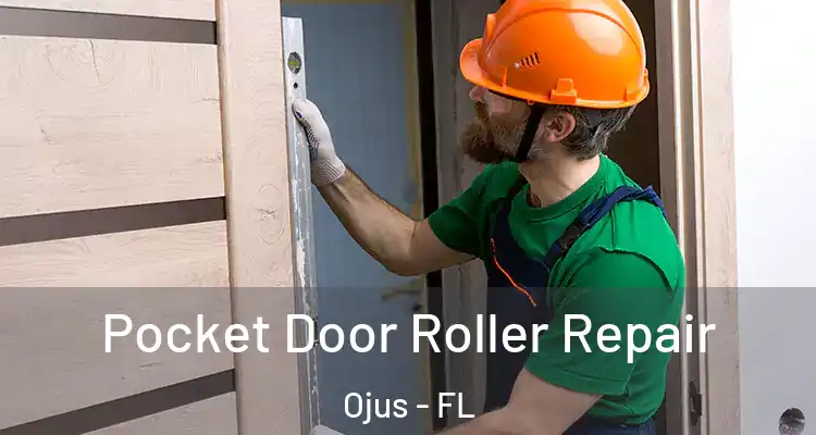  Pocket Door Roller Repair Ojus - FL